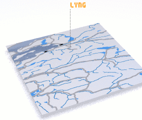 3d view of Lyng