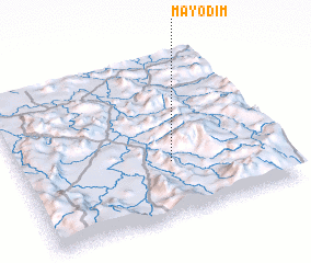 3d view of Mayo Dim