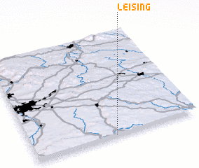 3d view of Leising