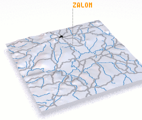 3d view of Zalom