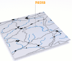 3d view of Paska