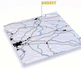 3d view of Wiedent