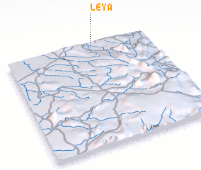 3d view of Leya