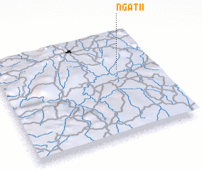 3d view of Ngat II