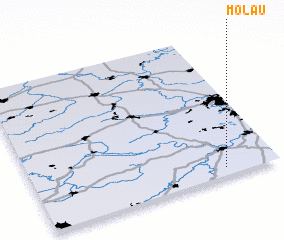 3d view of Molau