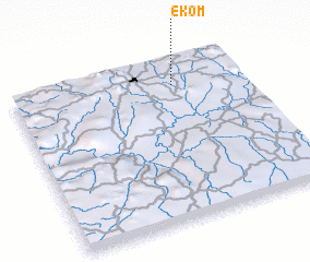 3d view of Ekom