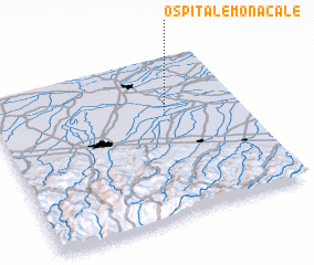 3d view of Ospitale Monacale