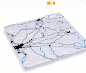 3d view of Birk