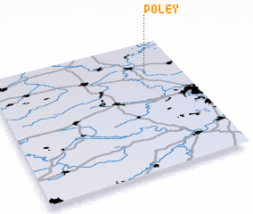 3d view of Poley