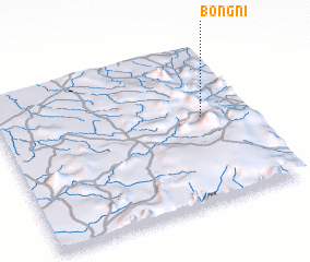 3d view of Bongni