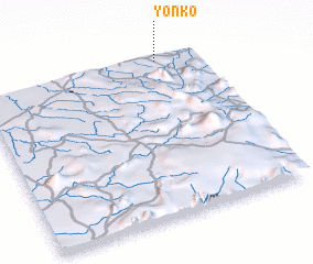 3d view of Yonko