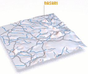 3d view of Nasari