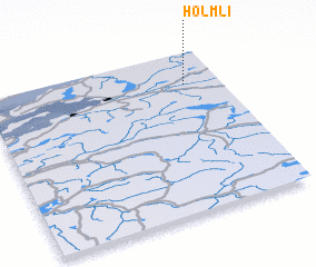 3d view of Holmli