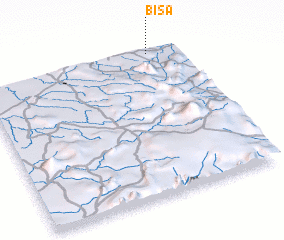 3d view of Bisa