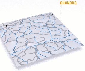 3d view of Ekowong