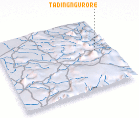 3d view of Tading Ngurore