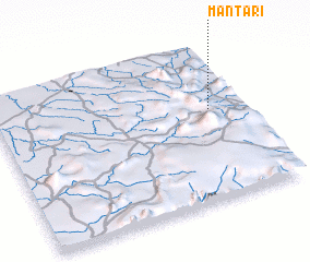 3d view of Mantari