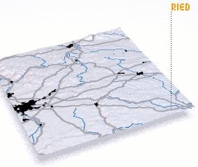 3d view of Ried