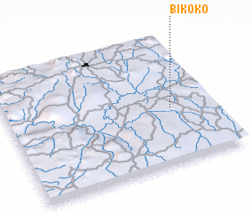 3d view of Bikoko