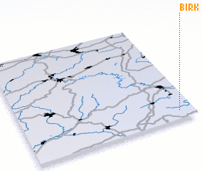 3d view of Birk