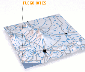 3d view of Tlogokotes