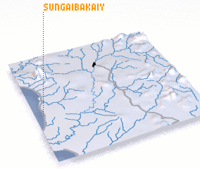 3d view of Sungaibakaiy