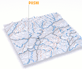 3d view of Pushi