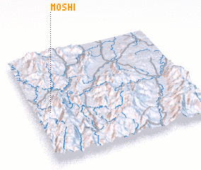 3d view of Moshi