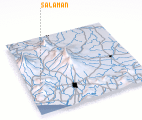 3d view of Salaman