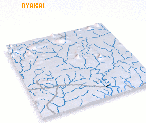 3d view of Nyakai