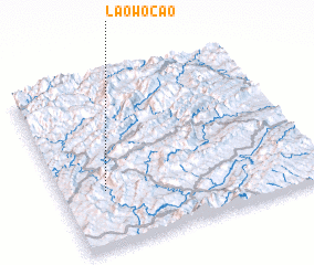 3d view of Laowocao