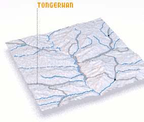 3d view of Tong\