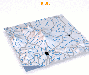 3d view of Bibis