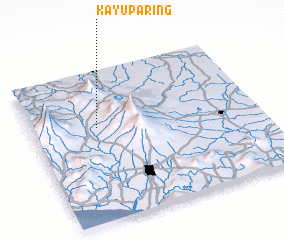 3d view of Kayuparing