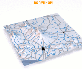 3d view of Banyumari