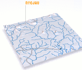 3d view of Nyejau