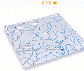 3d view of Entokah