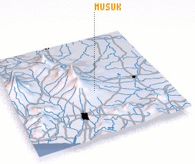 3d view of Musuk