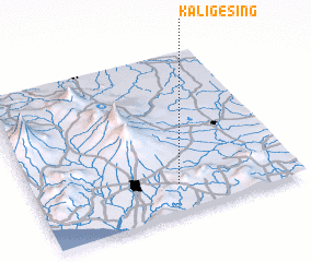 3d view of Kaligesing