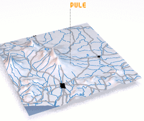 3d view of Pule