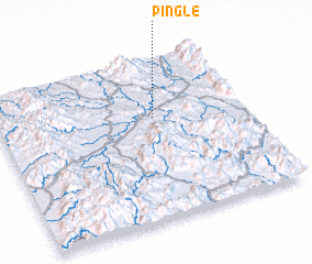 3d view of Pingle