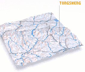 3d view of Tongsheng