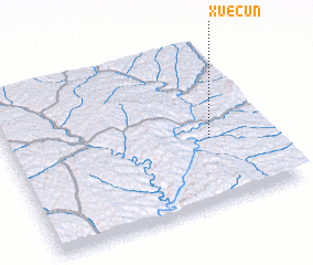 3d view of Xuecun