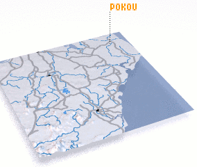 3d view of Pokou