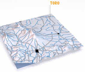 3d view of Toro