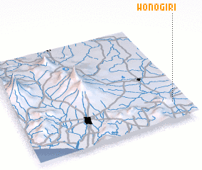 3d view of Wonogiri