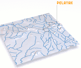 3d view of Pelayak