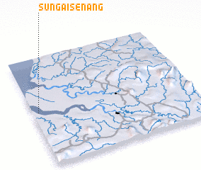 3d view of Sungai Senang