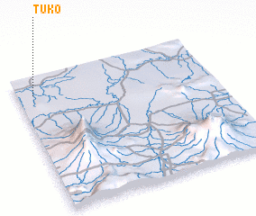 3d view of Tuko