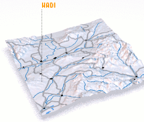 3d view of Wadi